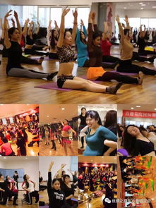 全國(guó)公益課堂巡回2019西安 文化藝術(shù)交流咨詢的盛宴